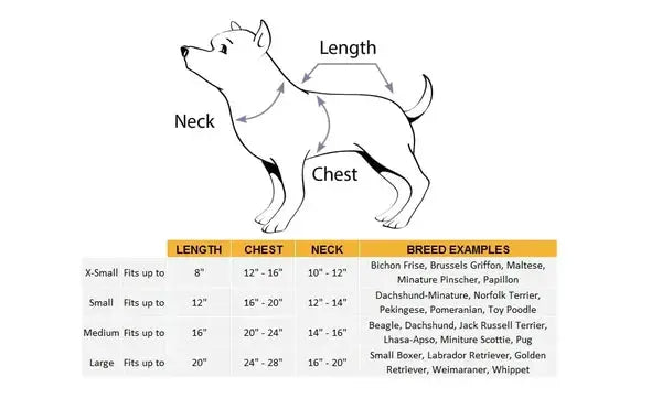 Schattig en Griezelig Huisdierkostuum voor Halloweenplezier