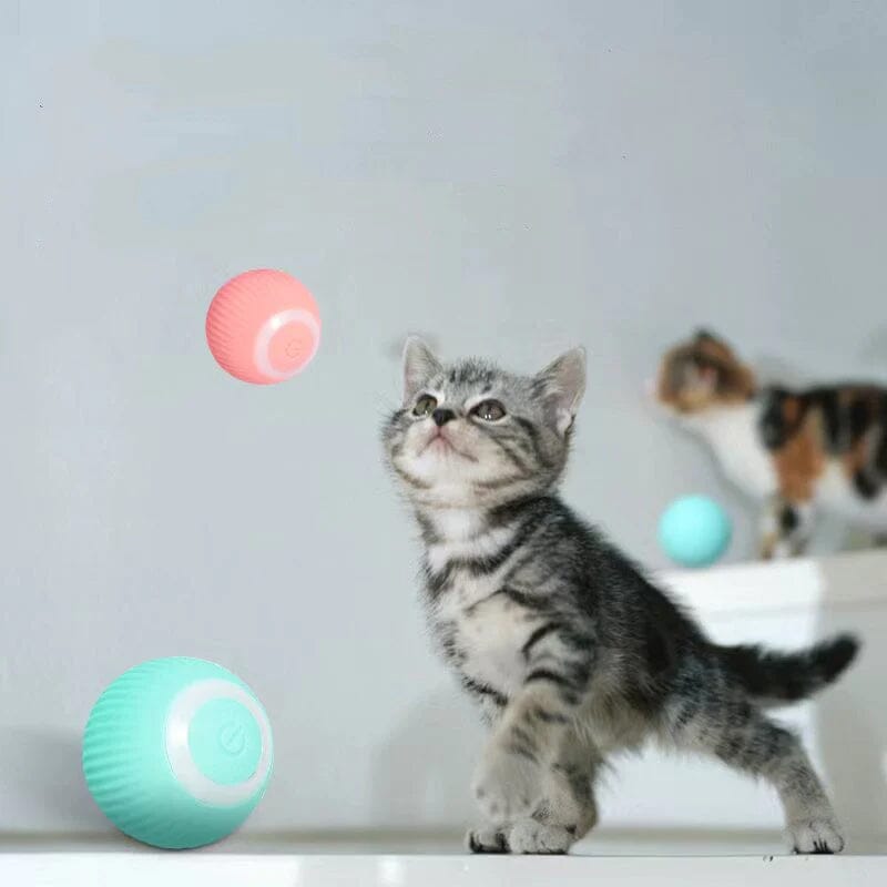 50% OFF | KittyBall™ - Electric Self-Rolling Cat Toy [Last Day Sale]