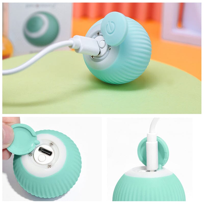 50% OFF | KittyBall™ - Electric Self-Rolling Cat Toy [Last Day Sale]