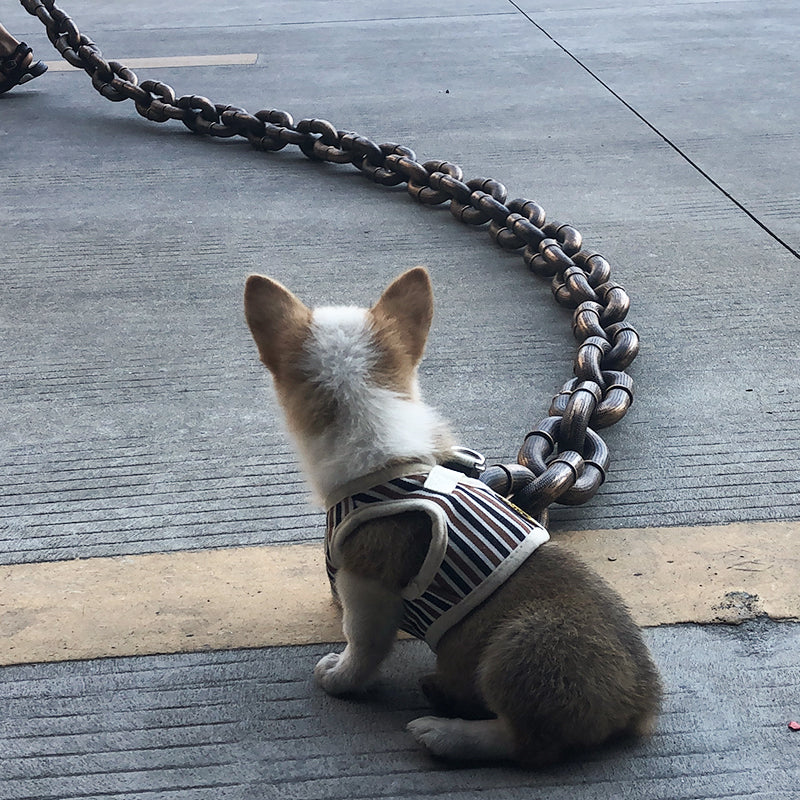 50% OFF | BarkBling - Funny Large Dog Collar [Last Day Sale]