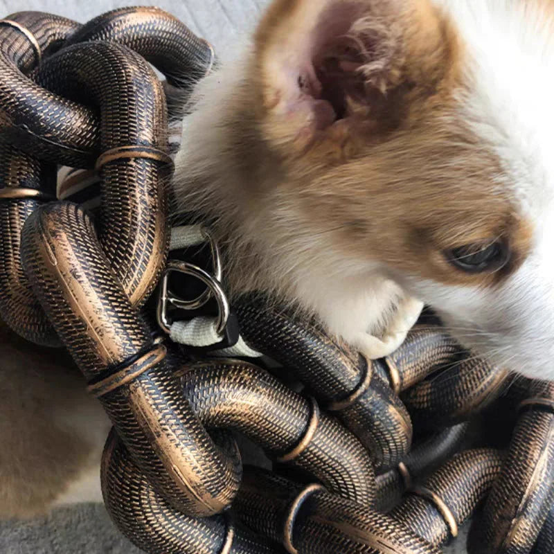 50% OFF | BarkBling - Funny Large Dog Collar [Last Day Sale]