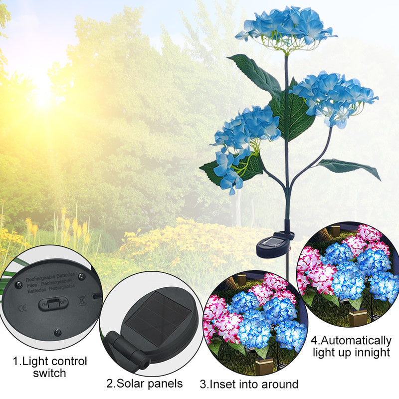 FloraFlare - Magic in your garden [Last day sale]