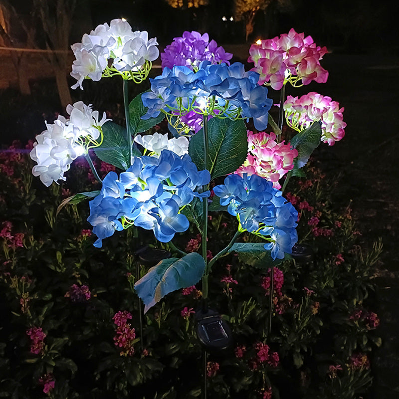 FloraFlare - Magic in your garden [Last day sale]