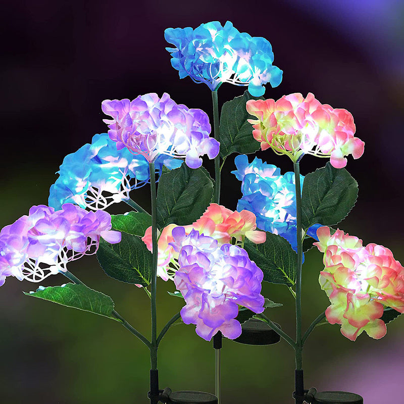 FloraFlare - Magic in your garden [Last day sale]