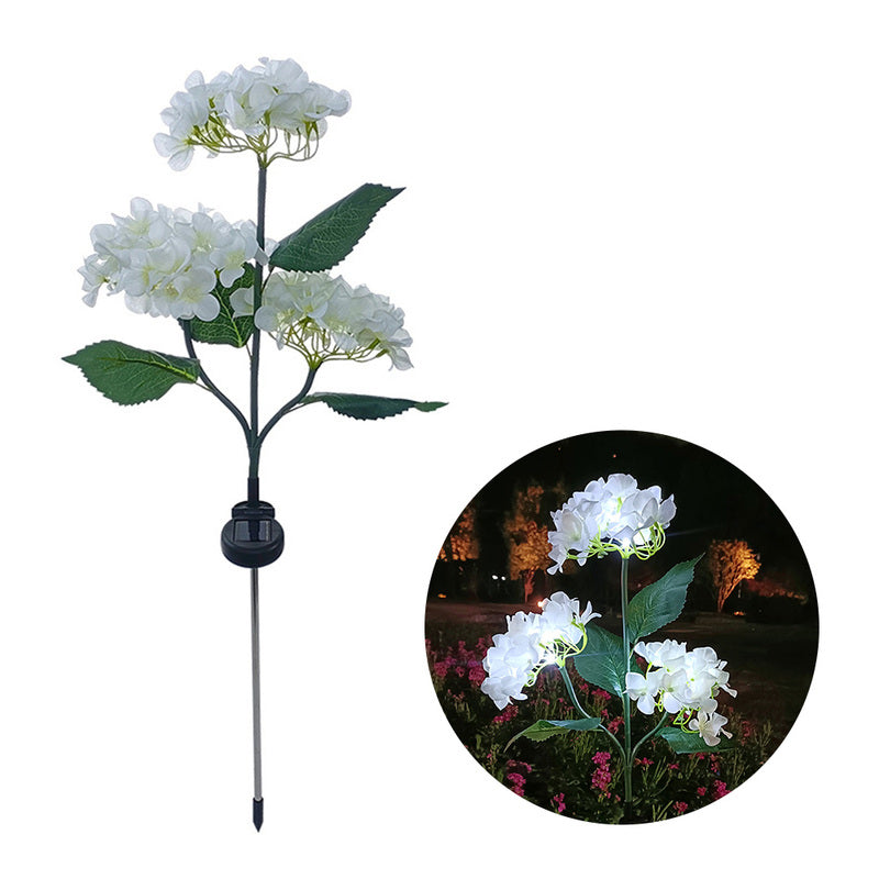 FloraFlare - Magic in your garden [Last day sale]