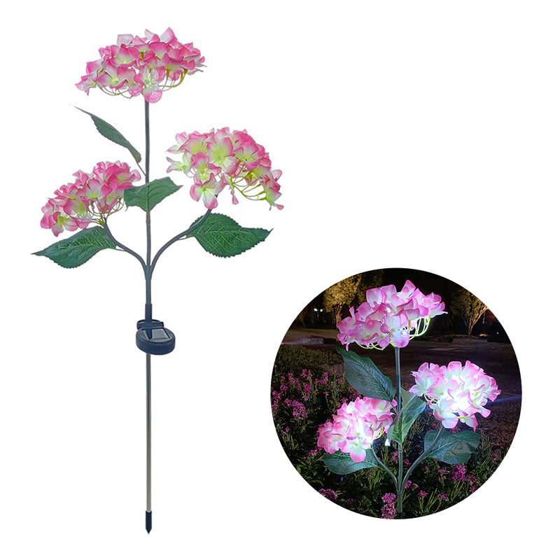 FloraFlare - Magic in your garden [Last day sale]