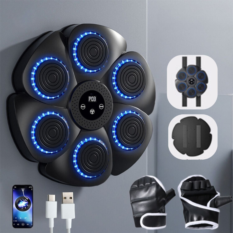 ProPuncher - Smart boxing trainer for children and adults