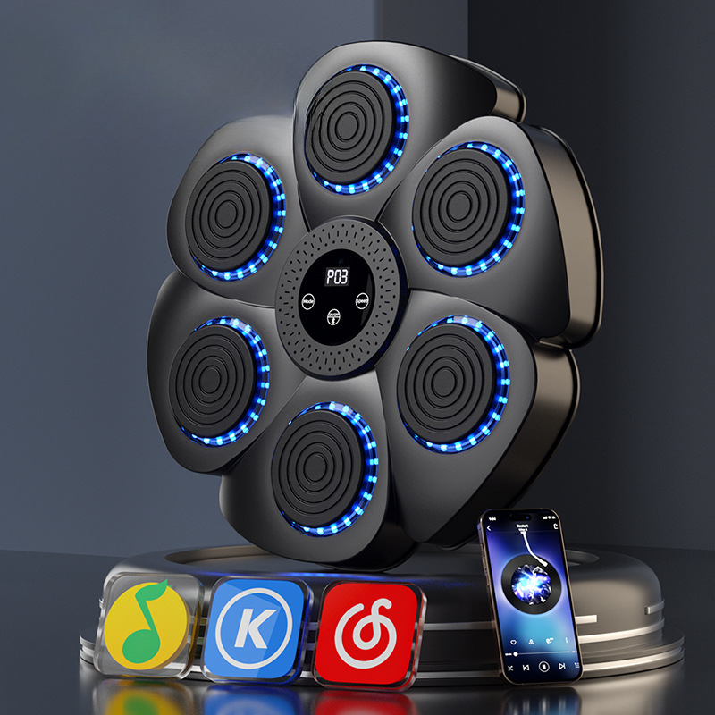 ProPuncher - Smart boxing trainer for children and adults