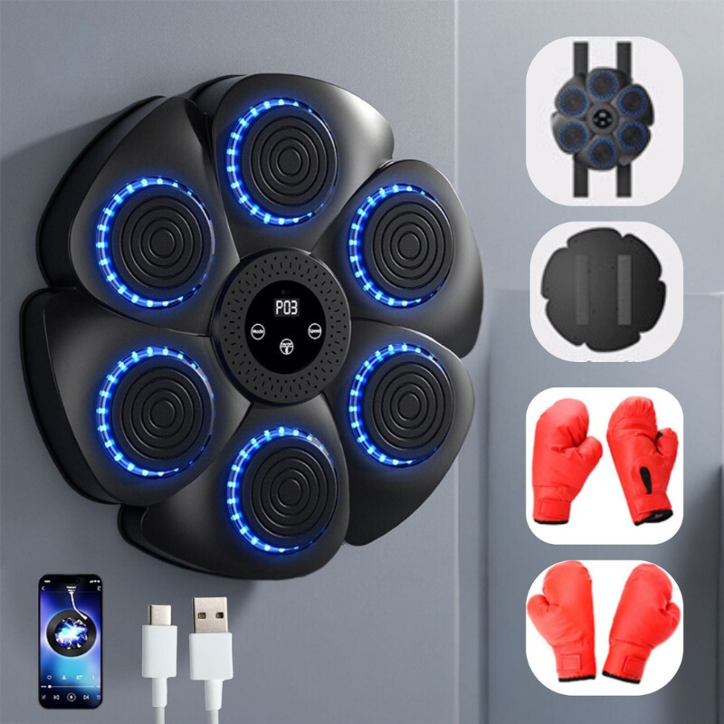 ProPuncher - Smart boxing trainer for children and adults