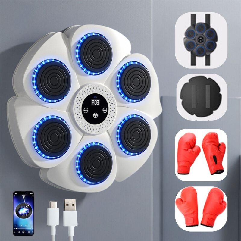 ProPuncher - Smart boxing trainer for children and adults
