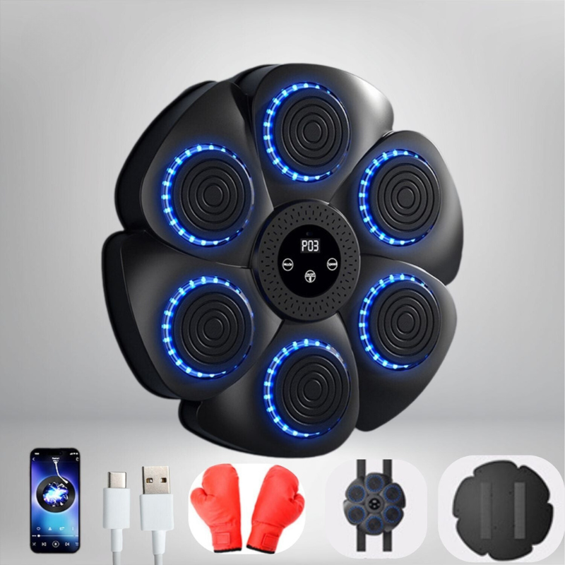 ProPuncher - Smart boxing trainer for children and adults