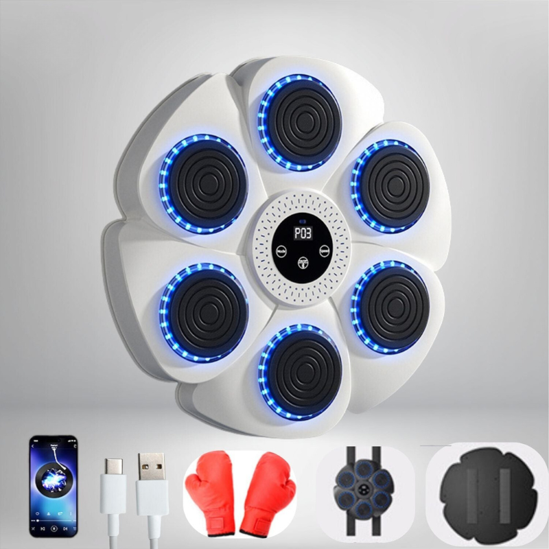 ProPuncher - Smart boxing trainer for children and adults