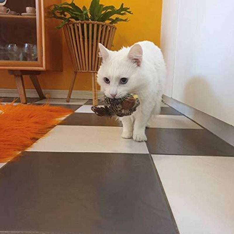 50% OFF | BirdyPurr - Your cat's safe playmate! [Last day of sale]