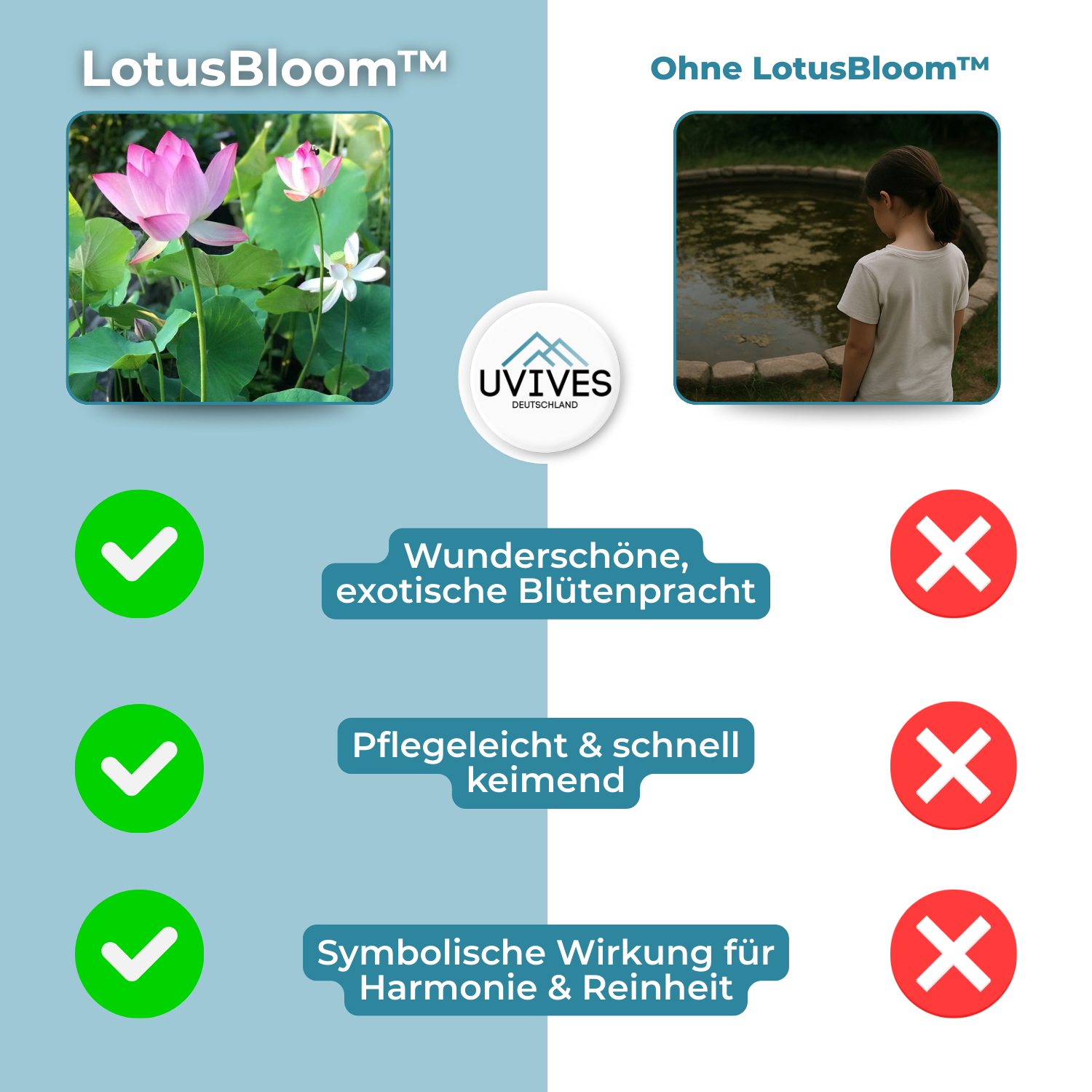 5+5 FREE | LotusBloom™ - Magical floral splendor for your pond