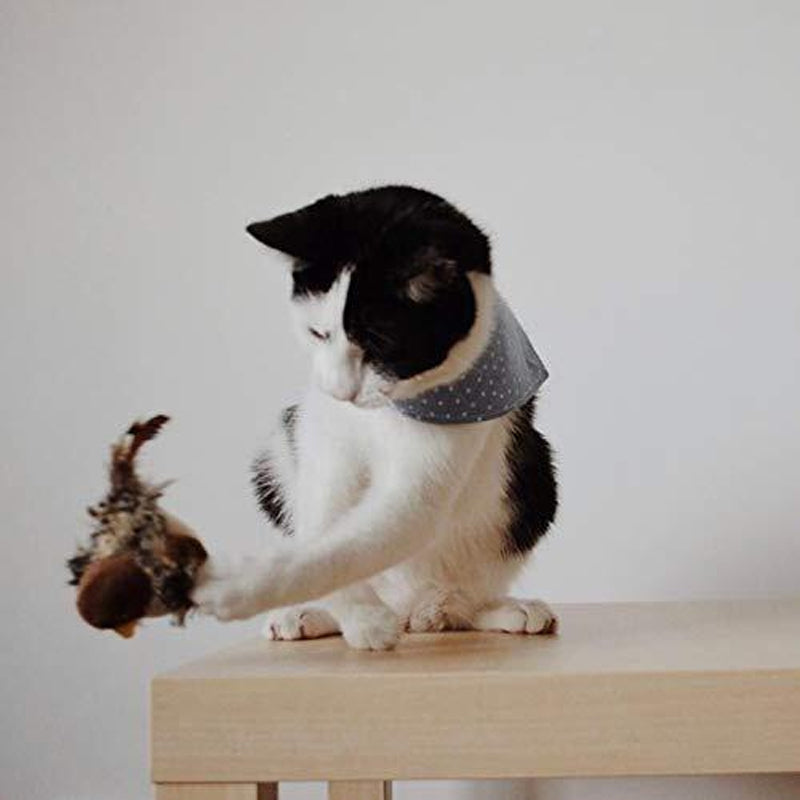 50% OFF | BirdyPurr - Your cat's safe playmate! [Last day of sale]