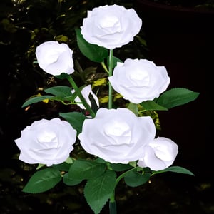 RoseGlow - Romantic garden lighting without electricity