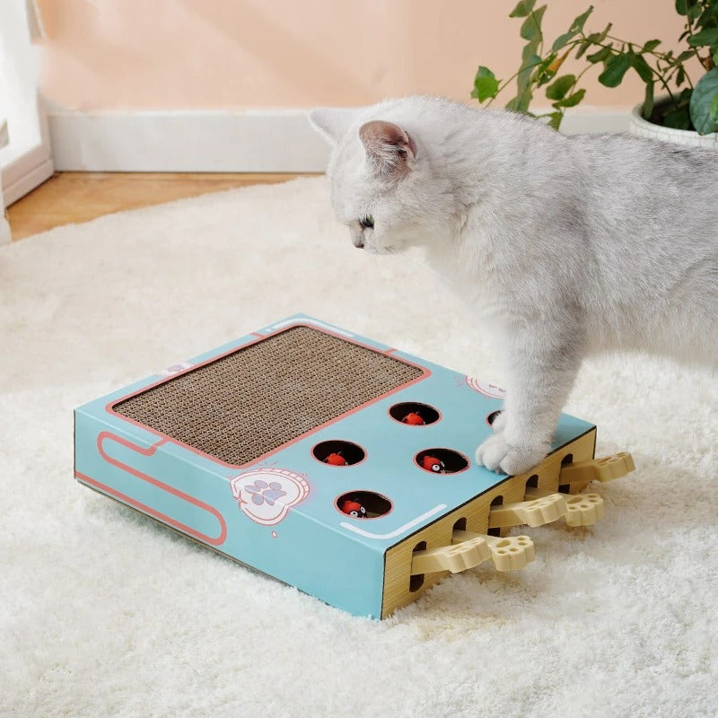 ScratchNest - Scratch, play &amp; chill all in one place!