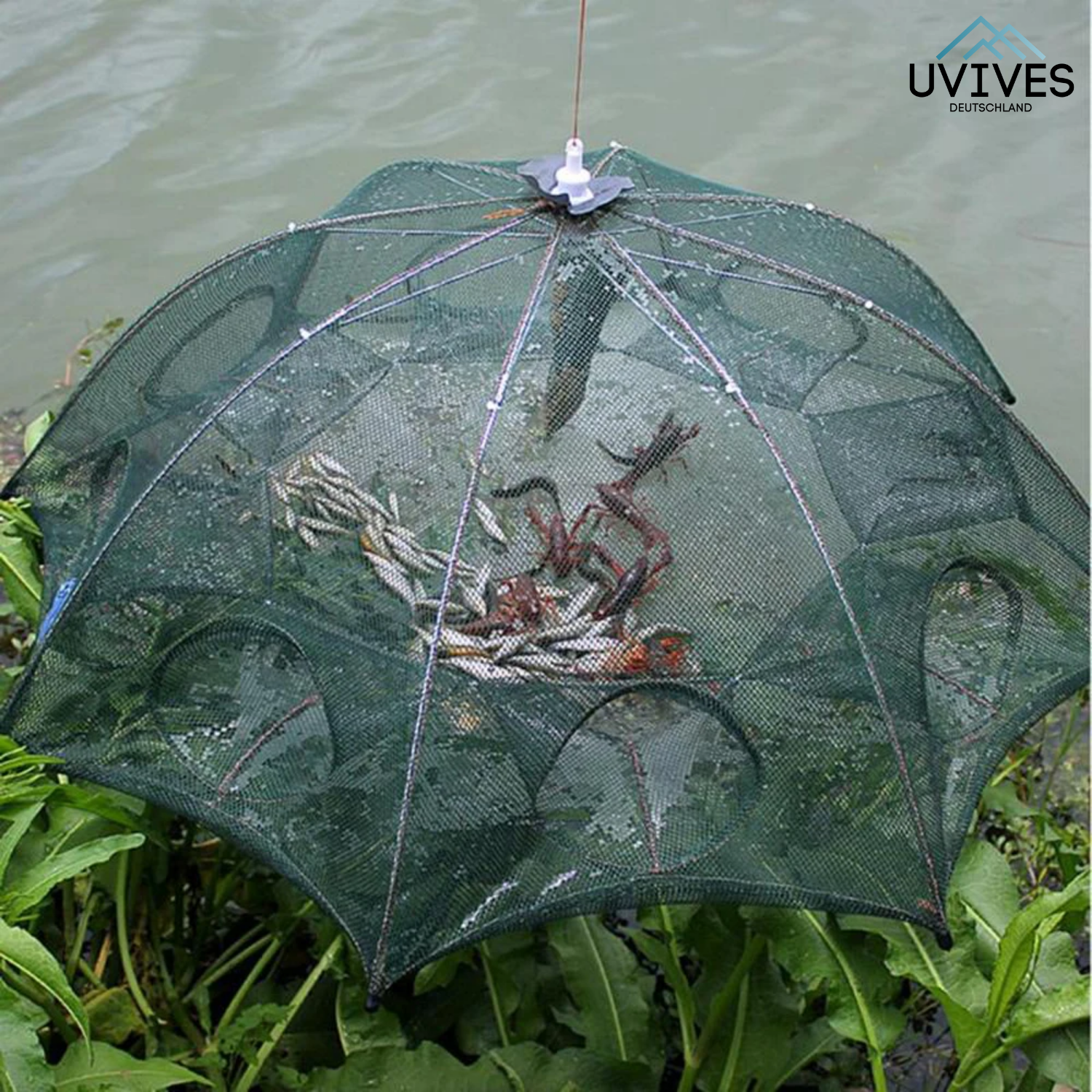 TrapCatch - The smart trap for fish and crabs!