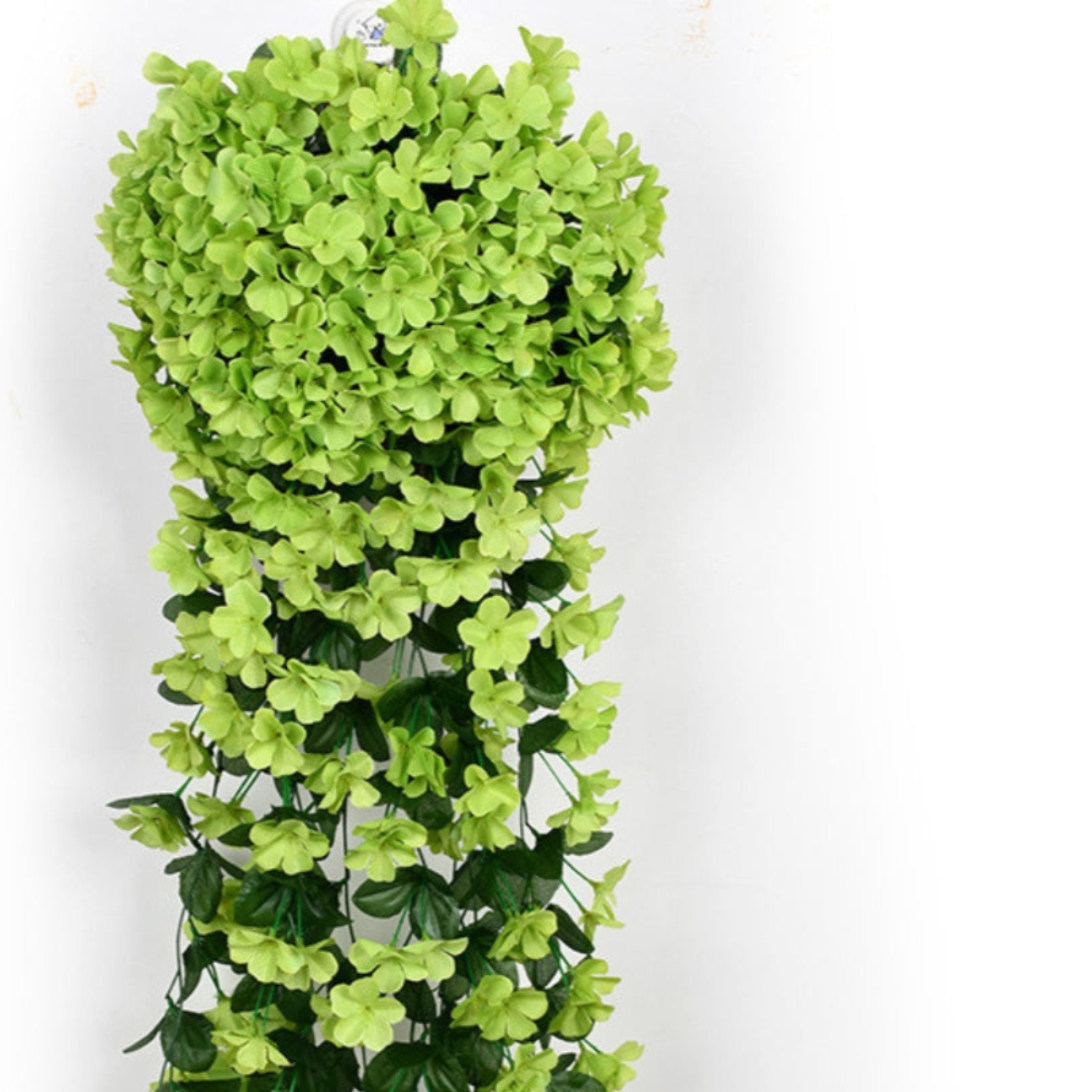 PlantGlow™ - Natural elegance, lasting freshness [last day sale]