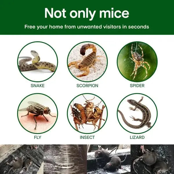 RatTrap - Non-toxic sticky trap against pests
