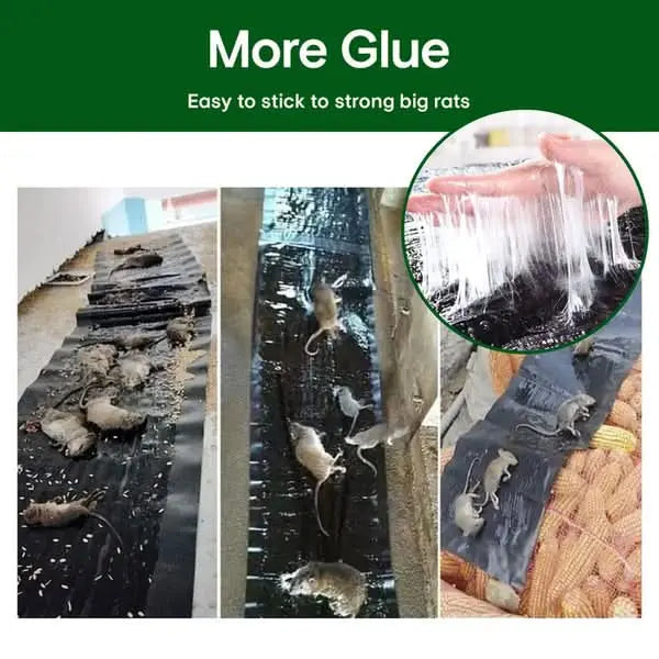 RatTrap - Non-toxic sticky trap against pests