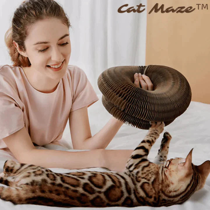 Buy One Get One Free | PetStory™ - Cat Toys 