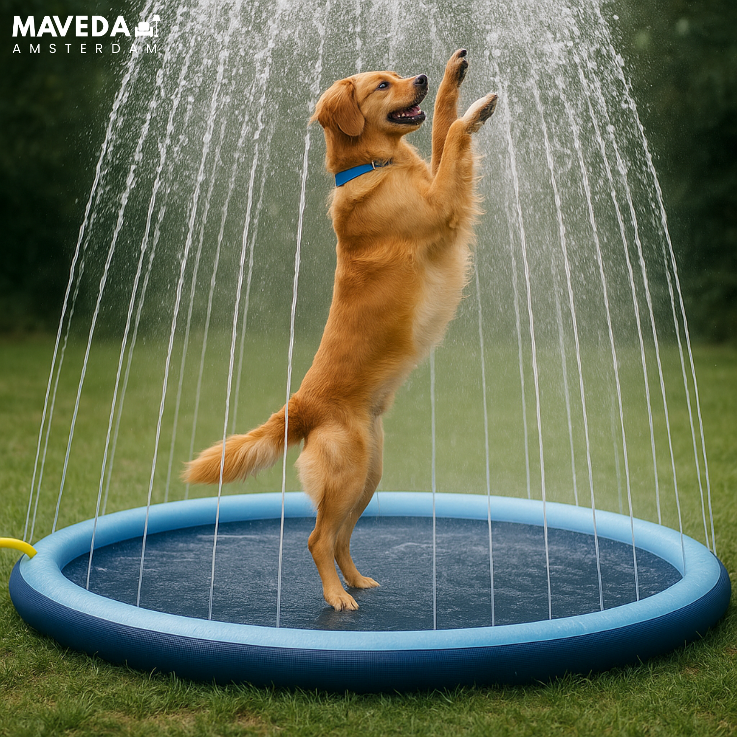 CoolPlay™ - Summer water fun for dogs and children