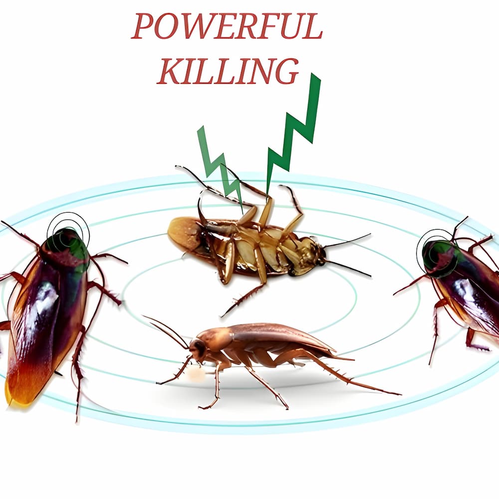 4+4 FREE | RoachShield - Your chemical-free solution against cockroaches