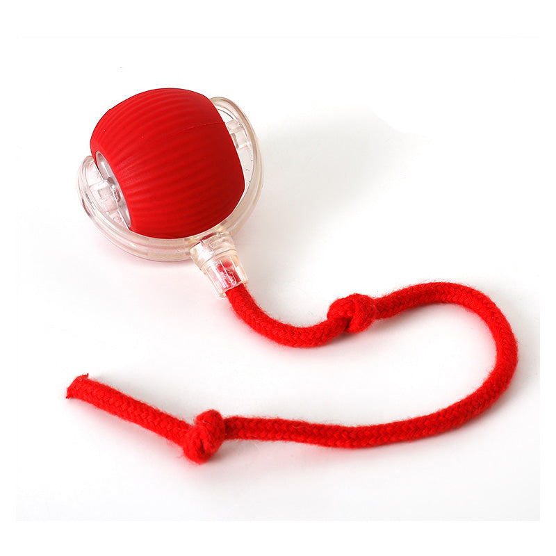 CatBounce™ - Interactive Indoor Cat Ball [Last Day Sale]