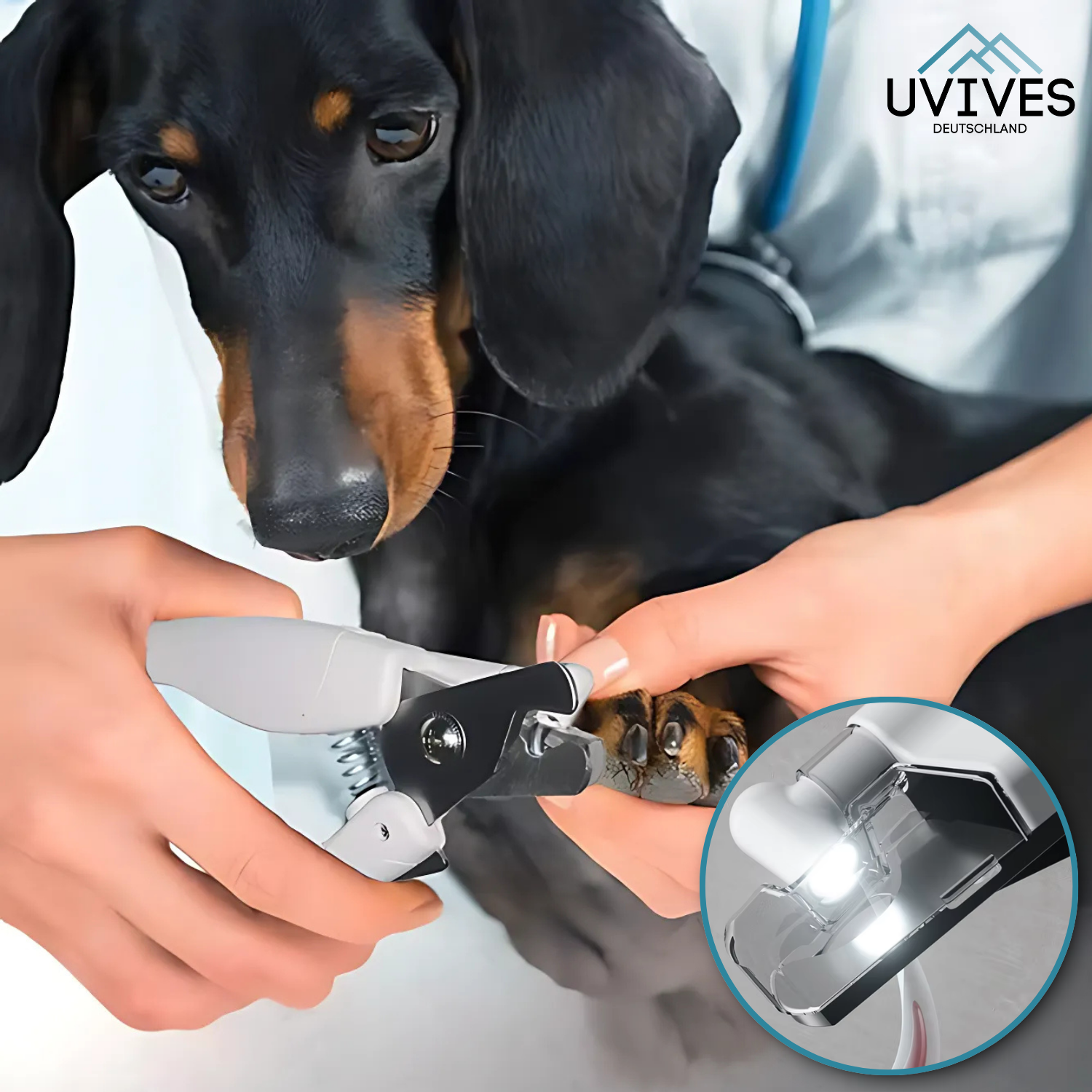 NailGuard™ - Safe nail care for your pet