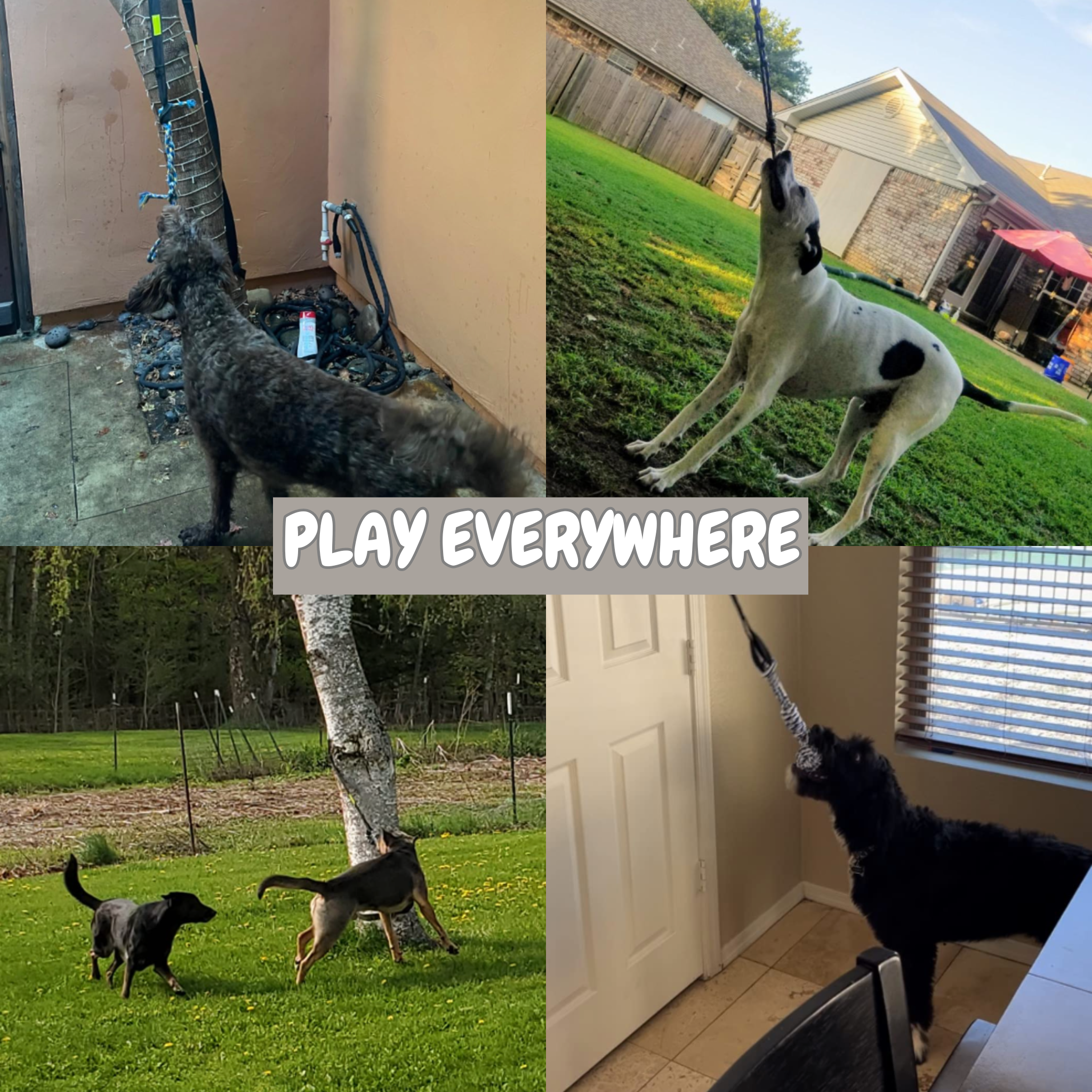 PoochLeap - Endless jumping fun for your dog [Last day sale]