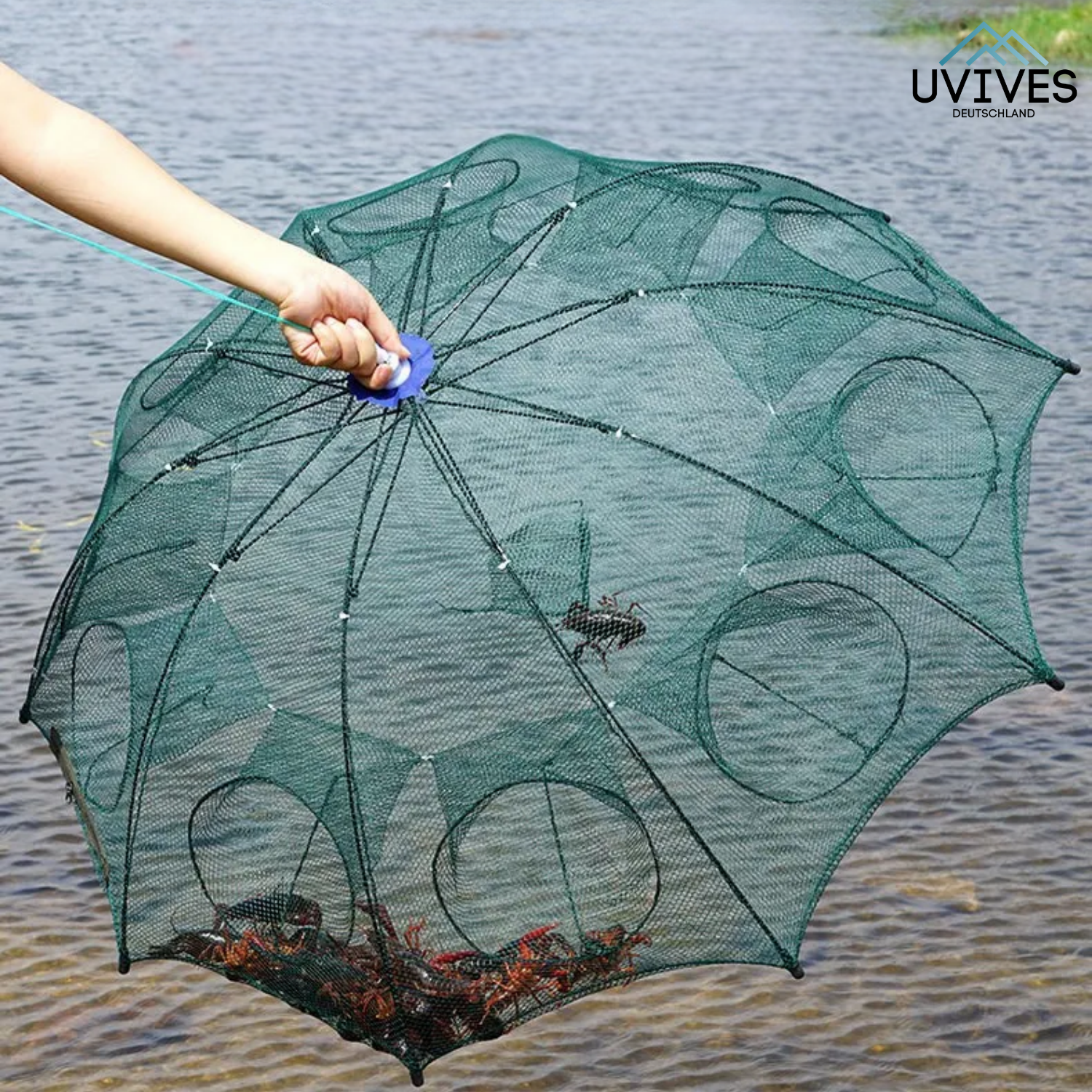 TrapCatch - The smart trap for fish and crabs!