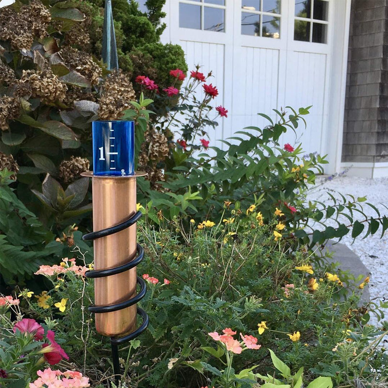 TrueDrop - Pear Rain Gauge [Last Day Sale]
