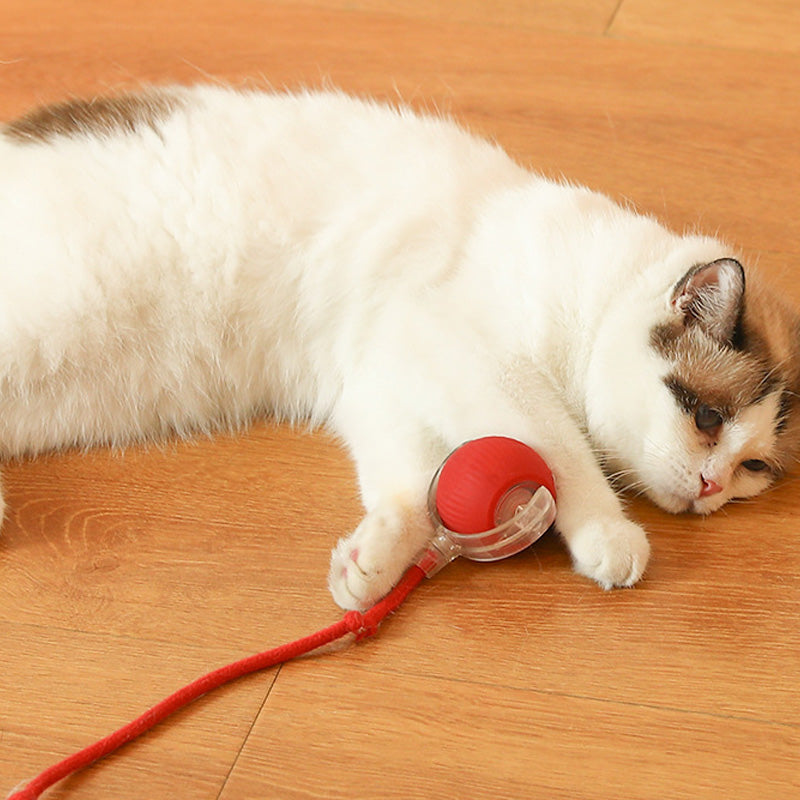 CatBounce™ - Interactive Indoor Cat Ball [Last Day Sale]