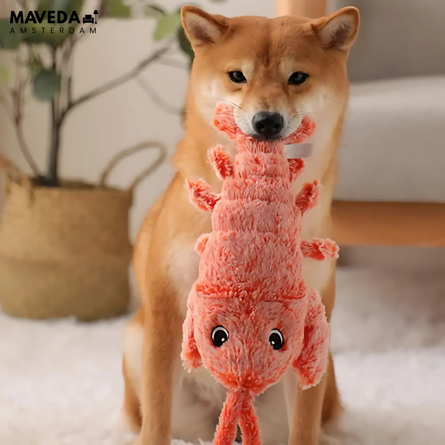 HugglePet - Interactive toys for cats and dogs