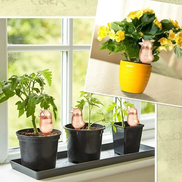 2+1 FREE | AquaBird - Automatic flower waterer [Last day sale]
