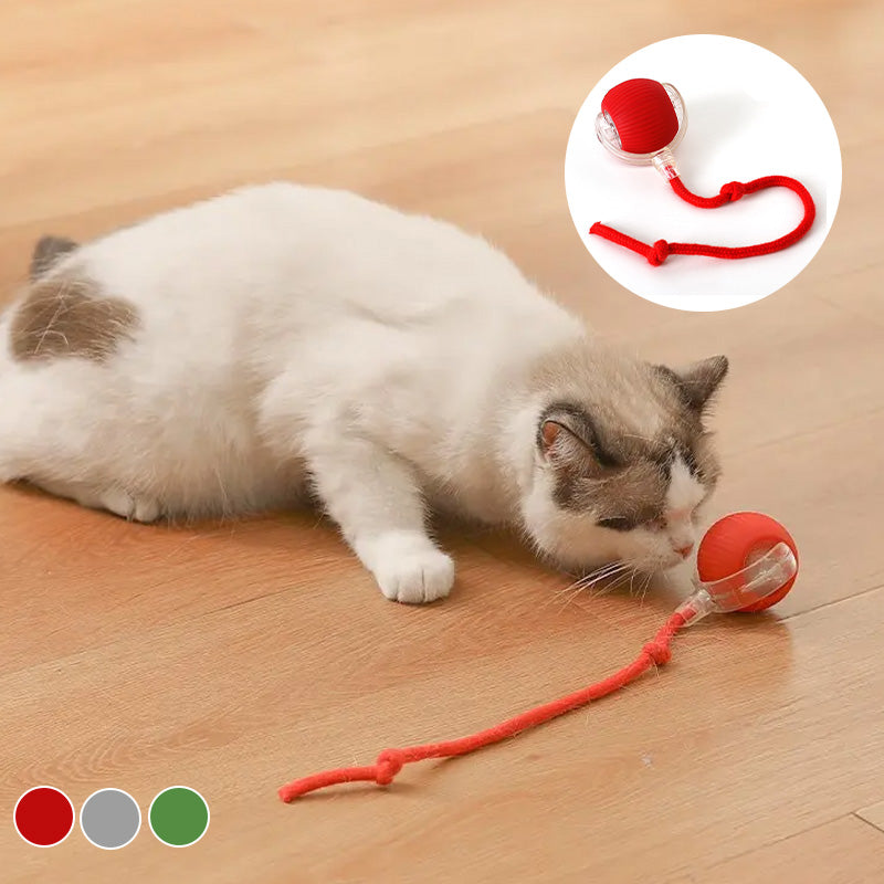 CatBounce™ - Interactive Indoor Cat Ball [Last Day Sale]