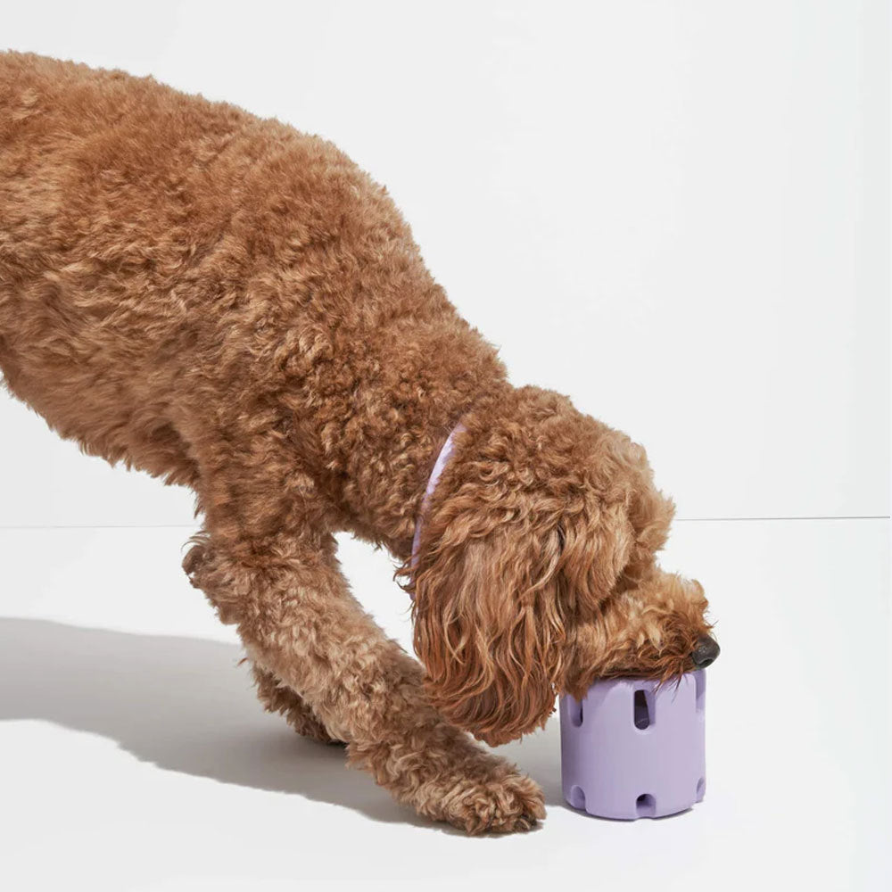 50% OFF | FetchFun™ - Tennis Chew Toy for Dogs [Last Day Sale]