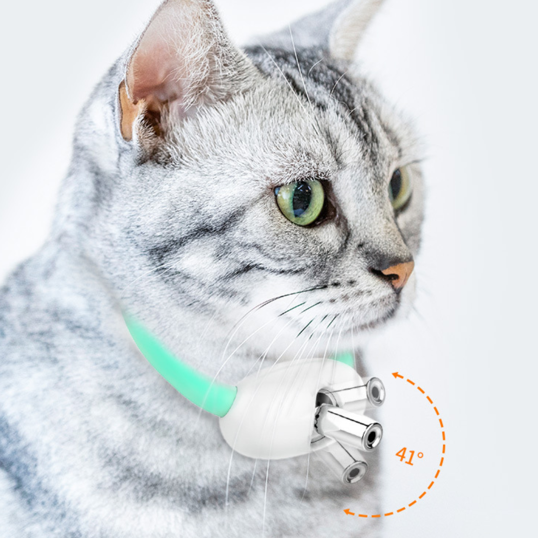 FurryFlash - Cat Collar Laser Light Toy - Endless fun for your cat