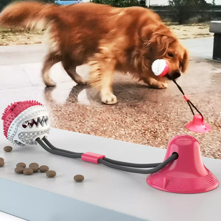 PupTug - Tug Rope for Pets [Last Day Sale] 