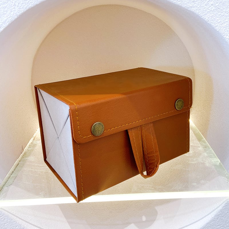 GlassGuard - Protect your glasses in style