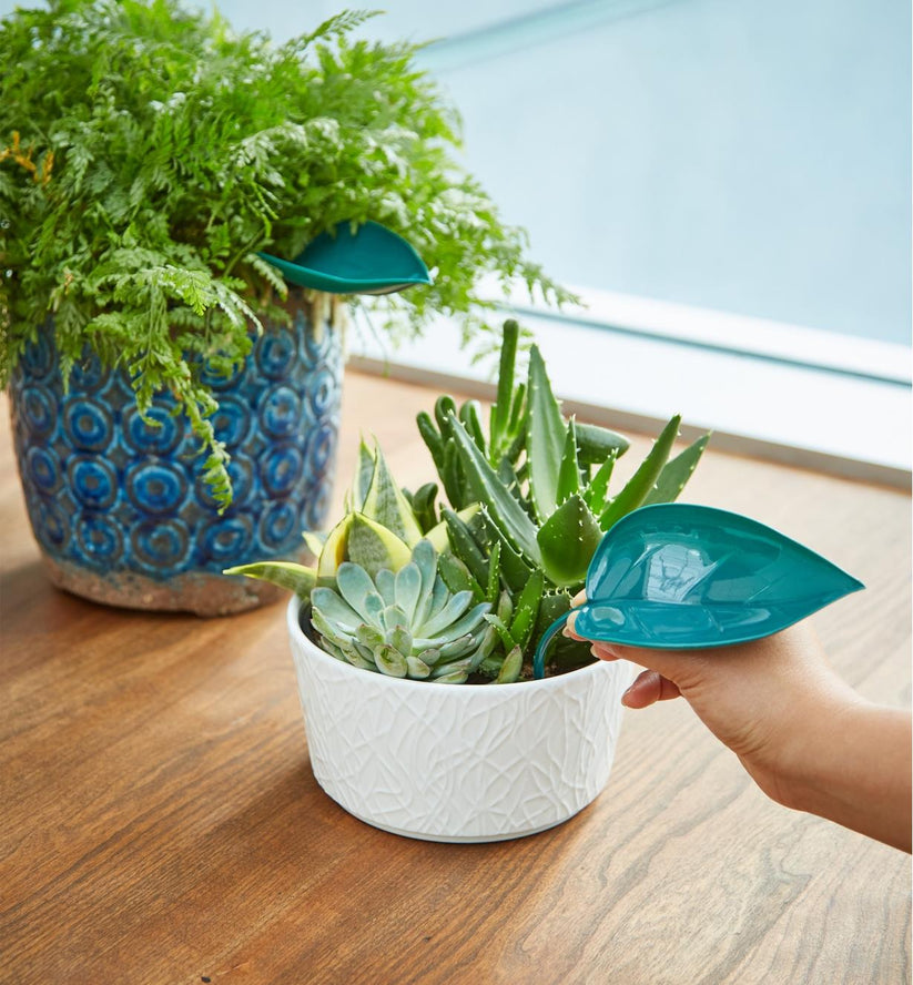 3+3 FREE | Leafy - Leaf Design Watering Funnel [Last Day Sale]