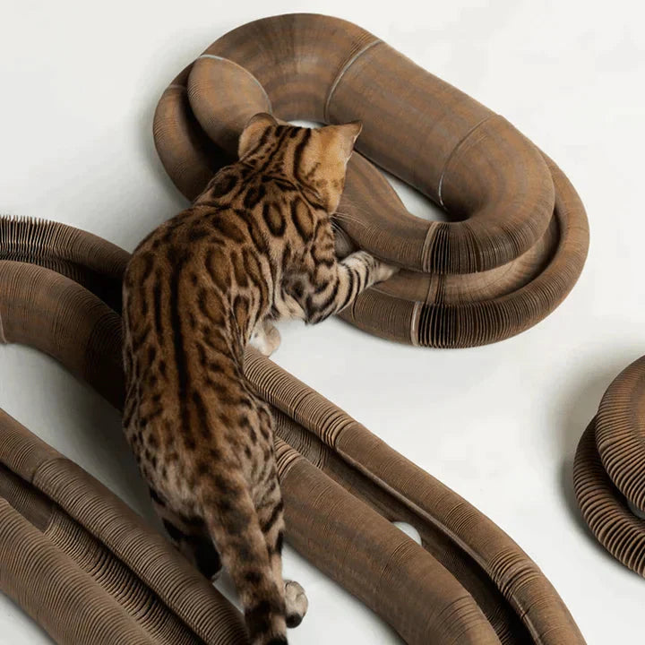 Buy One Get One Free | PetStory™ - Cat Toys 