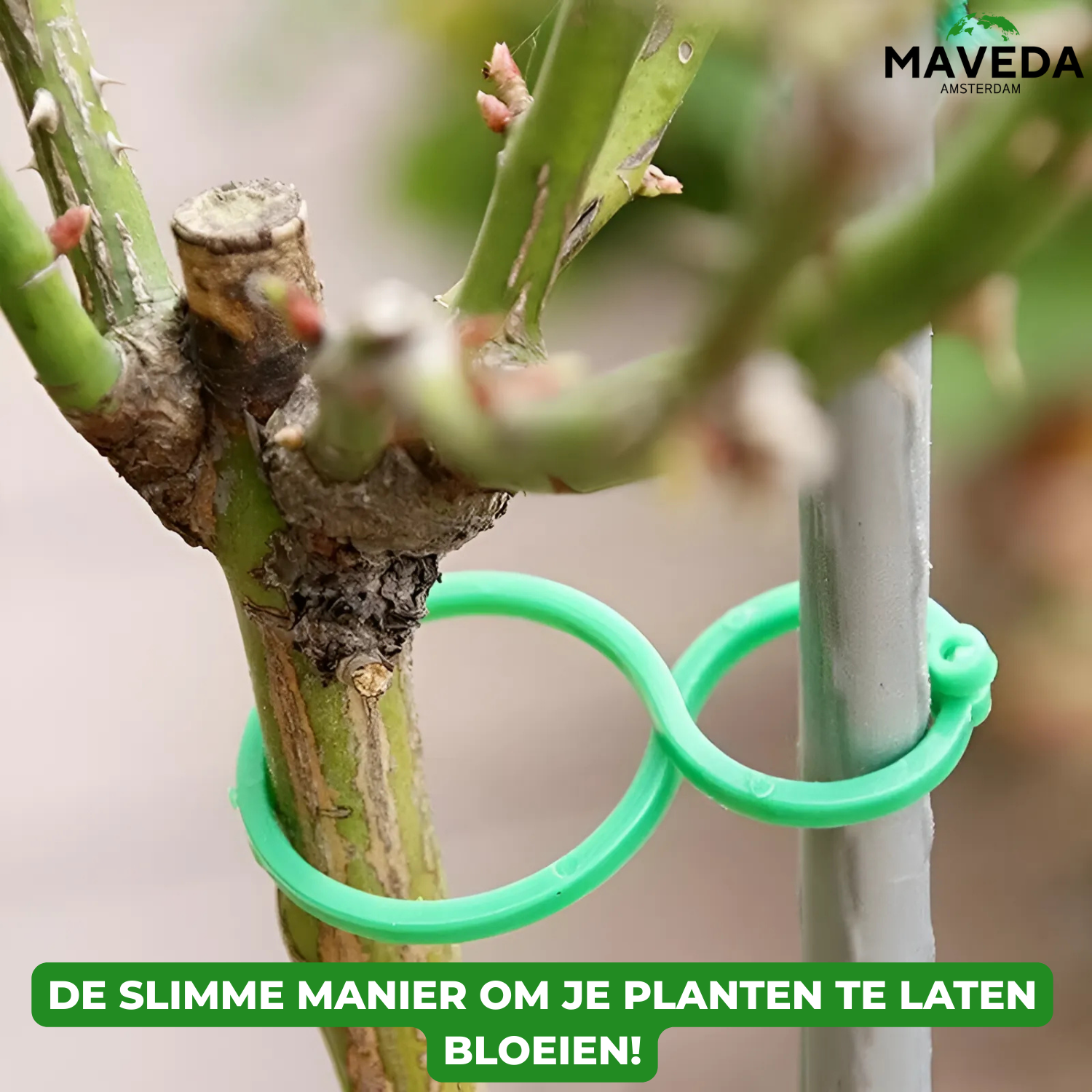 25+25 FREE | VineClamp™ - Plant Branch Holder