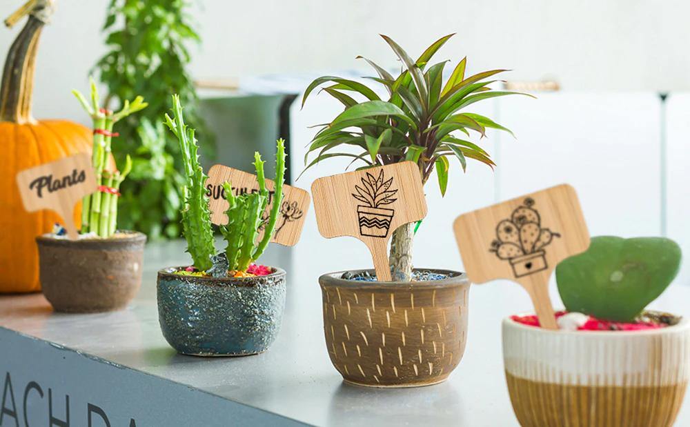 PlantSign - Bamboo plant signs for garden &amp; decoration