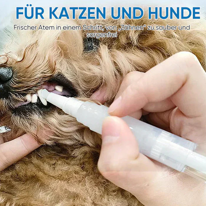 Buy 1+1 FREE | PawBright - Pet dental care made easy