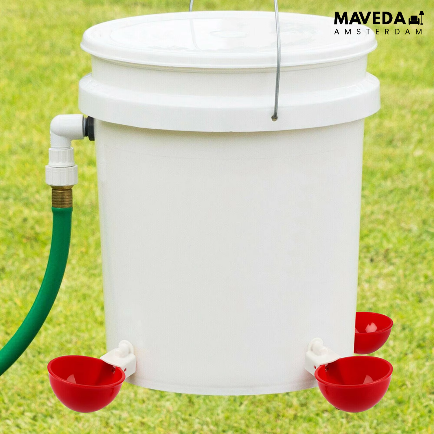 3+3 FREE | AquaNest - Fresh water for happy animals