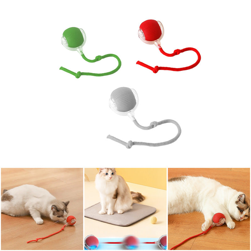 CatBounce™ - Interactive Indoor Cat Ball [Last Day Sale]