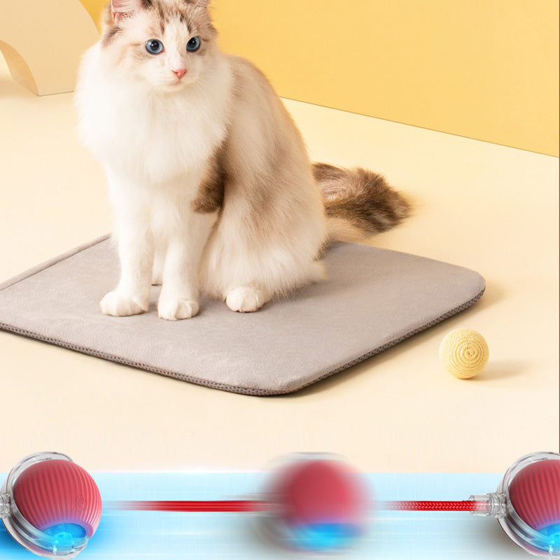 CatBounce™ - Interactive Indoor Cat Ball [Last Day Sale]