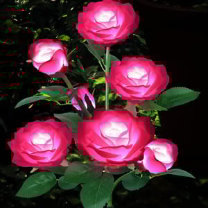 RoseGlow - Romantic garden lighting without electricity